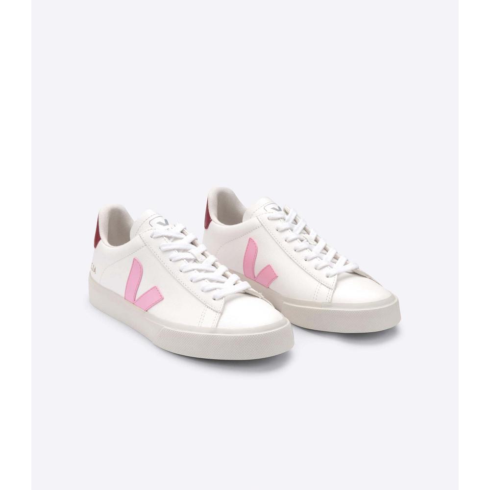 Veja CAMPO CHROMEFREE Men's Low Tops Sneakers White/Pink | NZ 193WNB